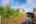 Blurred preview of media: DSC03824