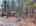 Blurred preview of media: DJI_20260324125552_0853_D_4_D_5_D_easyHDR