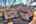 Blurred preview of media: DJI_0445_6_7_easyHDR