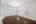 Blurred preview of media: DSC01169