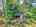Blurred preview of media: DJI_20250602144857_0553_D_4_D_5_D_easyHDR