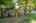 Blurred preview of media: 43