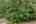 Blurred preview of media: 8-0_SW_Upper_Dr_vacantlot