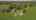 Blurred preview of media: DJI_0746