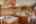 Blurred preview of media: SS Whatever-30