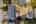 Blurred preview of media: 1-45