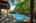 Blurred preview of media: 10