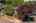 Blurred preview of media: Aerial 02