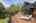 Blurred preview of media: 19