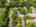 Blurred preview of media: 1247 Huron street. unit 81 web-1