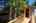 Blurred preview of media: Bunkie