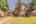 Blurred preview of media: Image-7