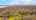 Blurred preview of media: 82