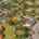 Blurred preview of media: DJI_20261002132309_0168_D