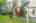 Blurred preview of media: 66 Woobly Road Bolton Massachusetts Job 39072 0001