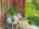 Blurred preview of media: 0002
