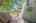 Blurred preview of media: 2972 W Long Dr APT C 00036