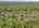 Blurred preview of media: 22-lauren-lane-sussex-nj-usa-drone-008