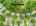 Blurred preview of media: 1-726-