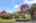 Blurred preview of media: 1-1