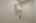 Blurred preview of media: Image-25