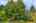 Blurred preview of media: 1-2