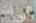 Blurred preview of media: DSC05524