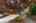 Blurred preview of media: 1-57