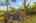 Blurred preview of media: Jonathan Dickinson State Park-20