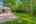 Blurred preview of media: Paveredit