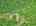 Blurred preview of media: DJI_20260604124942_0367_D_8_D_9_D_easyHDR