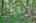 Blurred preview of media: IMG_4619_20_21_easyHDR