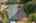 Blurred preview of media: Aerial 02
