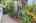 Blurred preview of media: iPixx_01_160