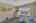 Blurred preview of media: DSC08545