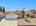 Blurred preview of media: 1489spalmave-1