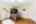 Blurred preview of media: 47