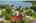 Blurred preview of media: 5.2