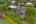 Blurred preview of media: DJI_20250904230013_0926_D