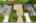 Blurred preview of media: iPixx_10_12
