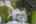 Blurred preview of media: 707 Whistler Dr_MLS (051 of 057)