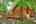 Blurred preview of media: IMG_0565_6_7_easyHDR