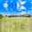 Blurred preview of media: 2-926-7799