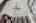 Blurred preview of media: 214SilentSpring-13