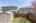 Blurred preview of media: 137