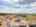 Blurred preview of media: DJI_0077-HDR