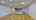Blurred preview of media: Unknown media