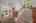 Blurred preview of media: 53