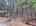 Blurred preview of media: DJI_20260324125548_0850_D_1_D_2_D_easyHDR