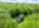 Blurred preview of media: 66 Woobly Road Bolton Massachusetts Job 39072 0074